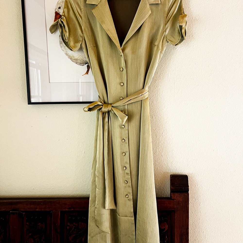 Elegant Olive Green Button-Up Dress